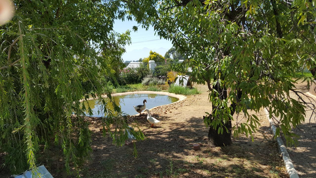 Merindol Manor Riebeek-West Extérieur photo
